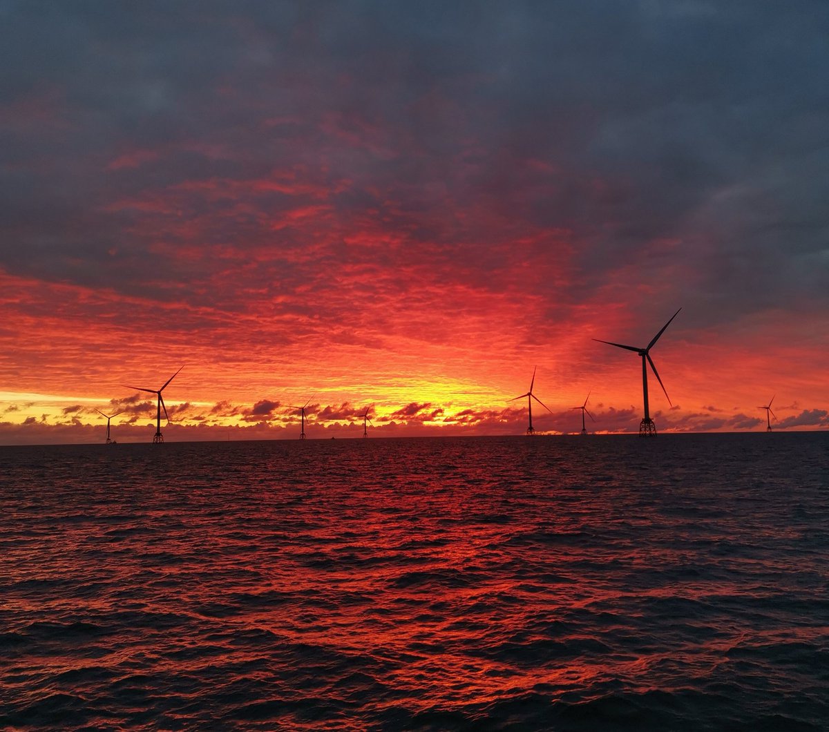 Adam ⚓ tweet media