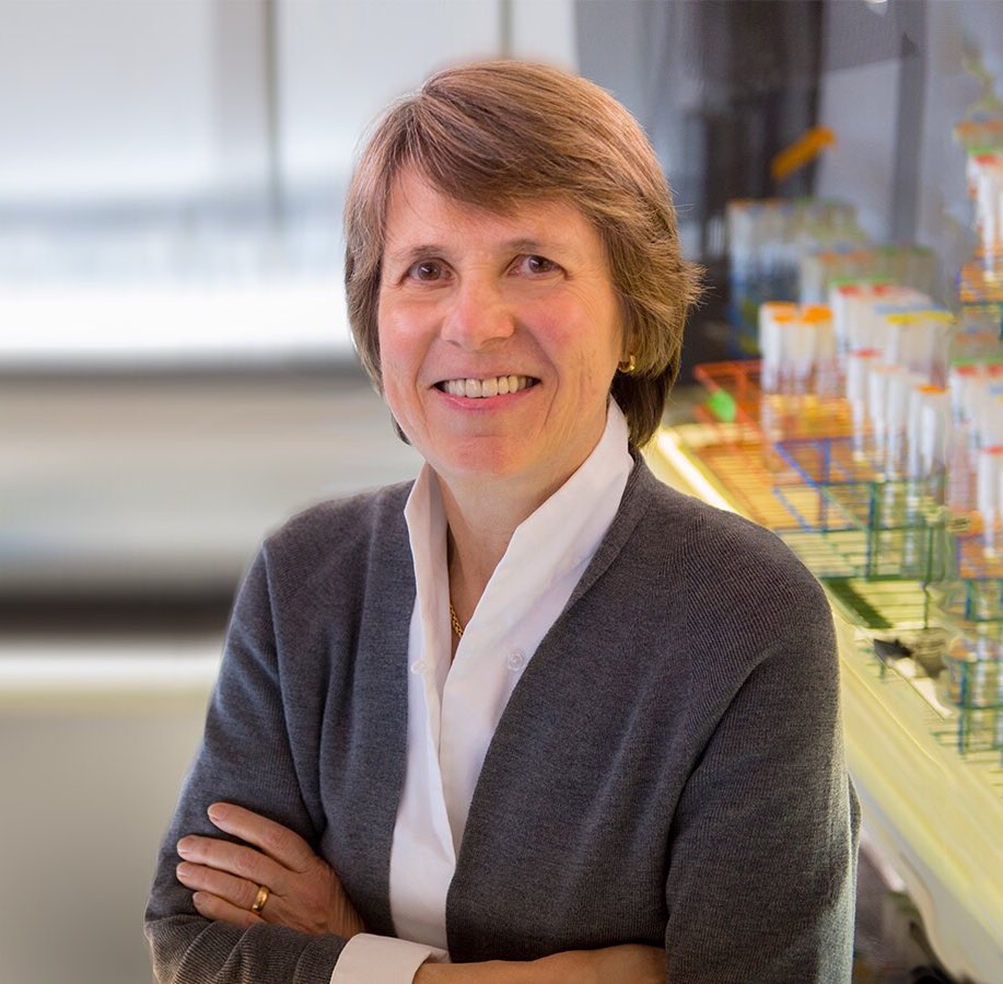 Congratulations Penny! This year's Crafoord Prize has been awarded to Sallie (Penny) Chisholm for the discovery and pioneering studies of the most abundant photosynthesizing organism on Earth, Prochlorococcus crafoordprize.se/press_release/…