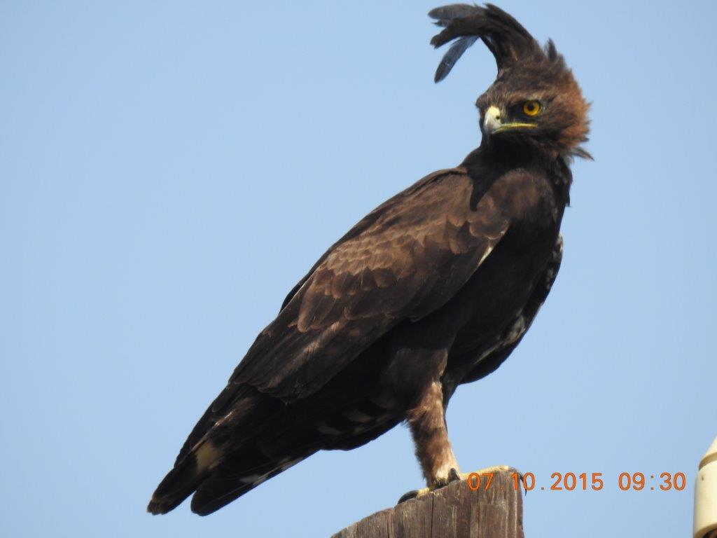 <a href="/nroutessa/">N-Routes South Africa</a> <a href="/FoulkesBrau/">Foulkes Brau</a> <a href="/beach_bush/">Bush & Beach Vacations</a> <a href="/Beachbabynorth/">Terryll Jordaan</a> <a href="/LadyLepurrrd/">LadyLepurrrd (Commentary) 🐾🐾</a> <a href="/discoverkruger1/">Discover KNP Safaris</a> <a href="/adstube/">Ads ZA</a> <a href="/visitmosselbay/">Mossel Bay Tourism</a> <a href="/mphappenings/">Kruger's Hub</a> <a href="/ibizweb/">Ibizweb</a> Hello friends and #HappyThursday to yo all 😎🐾📷🐒👊