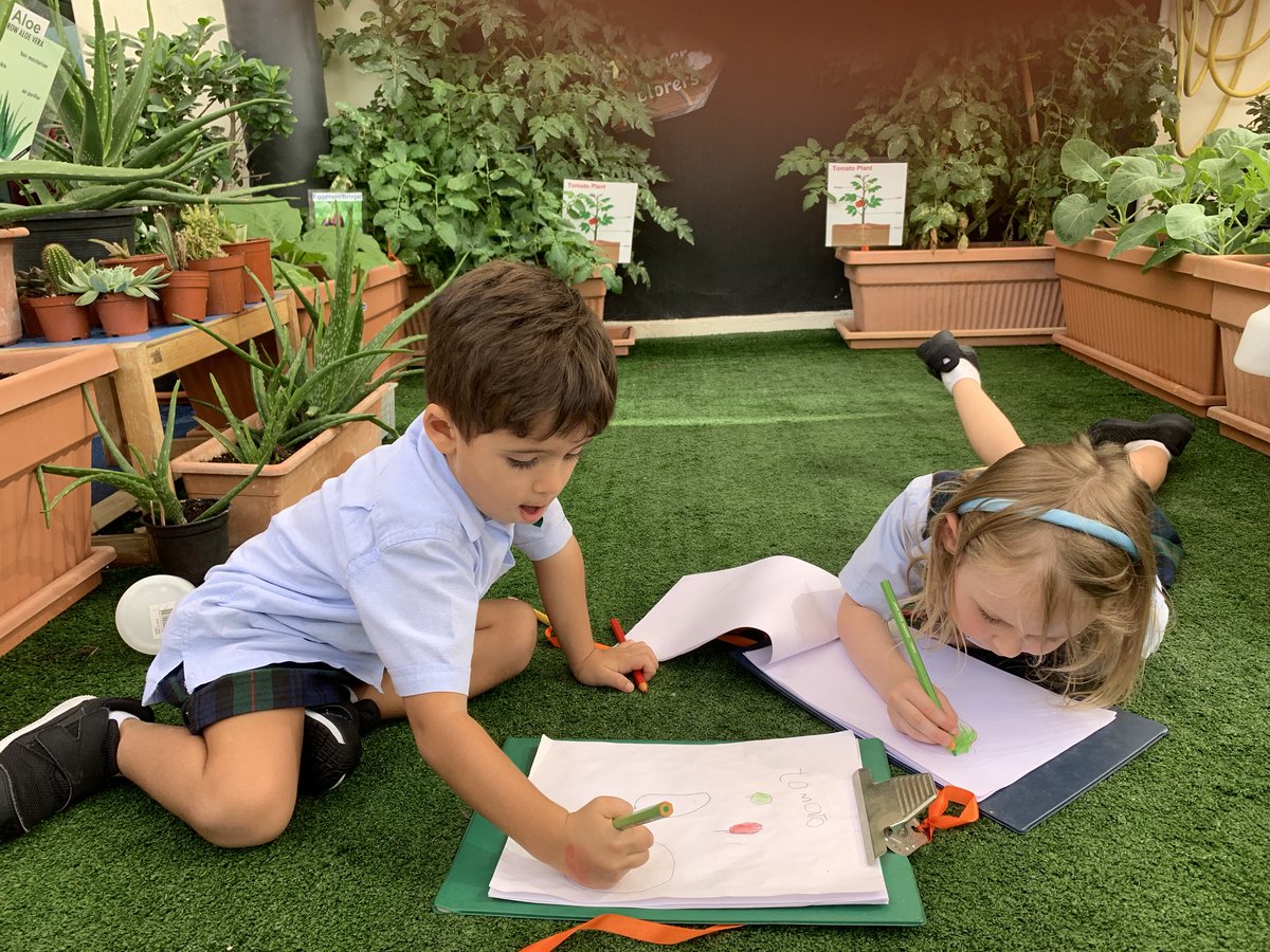 Out in our KG1 organic garden documenting the colour change in our tomatoes 🍅 #organic #growyourown #science #Inquirers <a href="/DIA_Sciences/">Science | DIA Emirates Hills</a> we cant wait to pick them after the weekend! 🥗