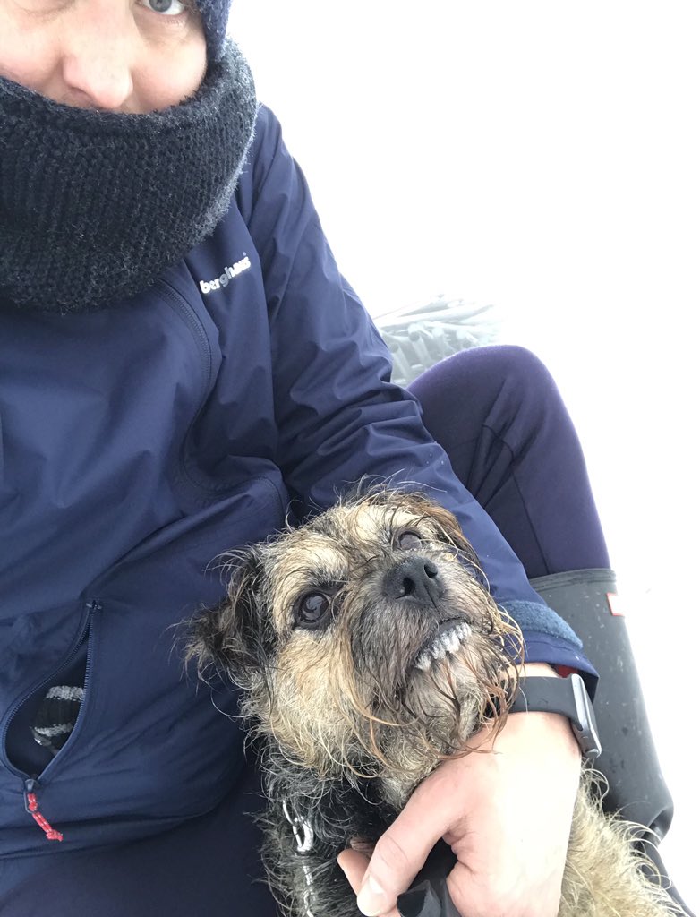 MrCEmmerson's tweet image. Good morning from a snowy and foggy #SingingRingingTree