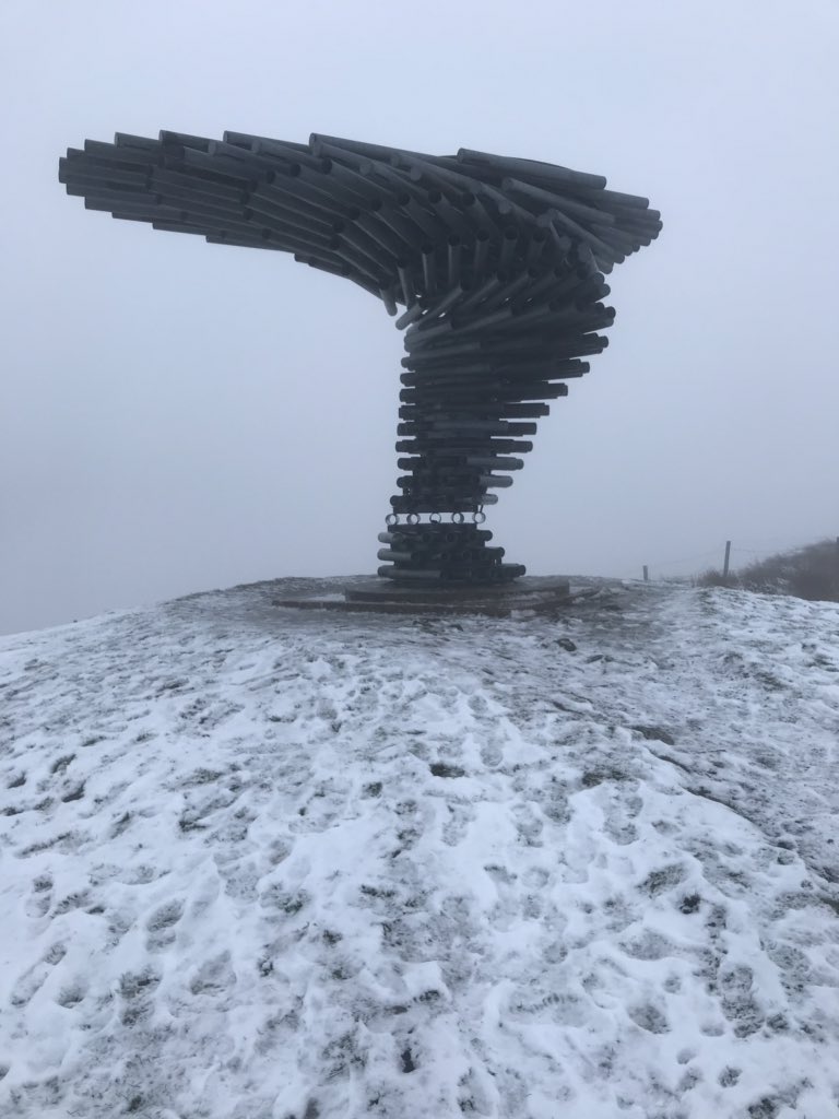 MrCEmmerson's tweet image. Good morning from a snowy and foggy #SingingRingingTree