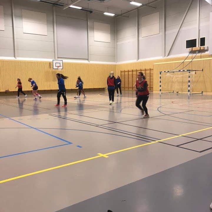 Støtt Rollon Håndball - Damer 4. Div og møt opp på kamp i kveld torsdag i Borgundhallen kl. 21 mot Spjelkavik Håndball. Forza Rollon! 🙌