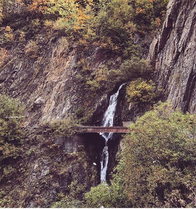 Amazing Tusheti .
Photo source: <a href="/nir/">Nir</a>.singher .
#tusheti #nature #naturephotography #freshair #breath #calmthesoul #bridg #waterfall #beautiful #fall #georgia #georgiastartshere bit.ly/2FKtQpI