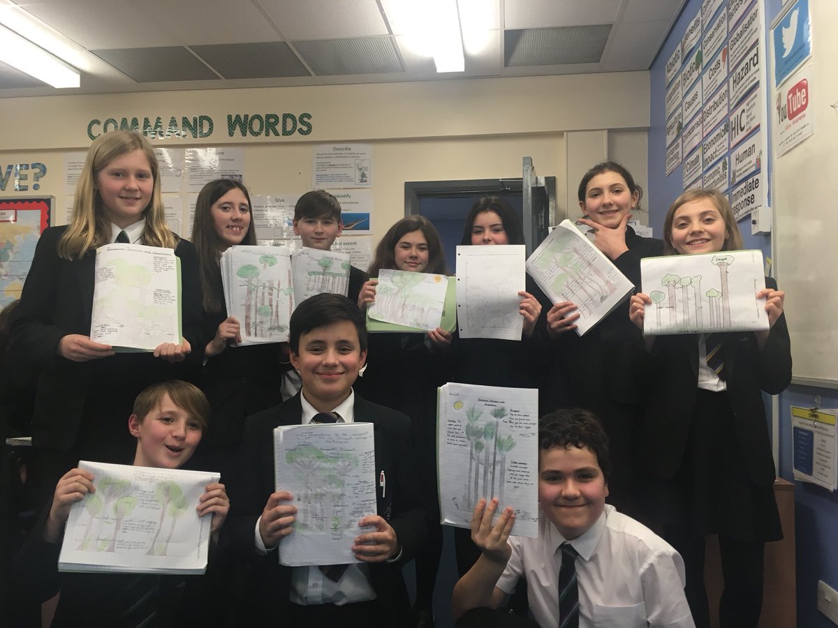 Year 8 are proud of their rainforest diagrams! 🌳