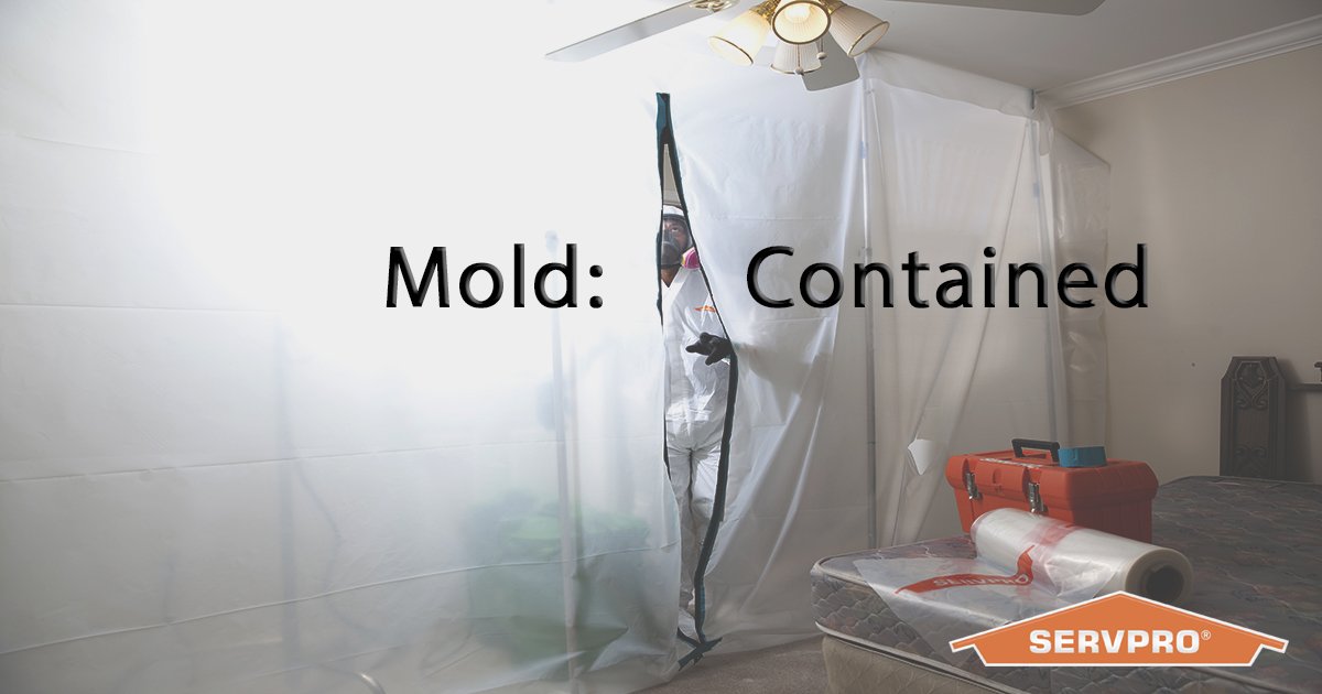 When dealing with mold, we build containment areas to be sure no spores are spread.