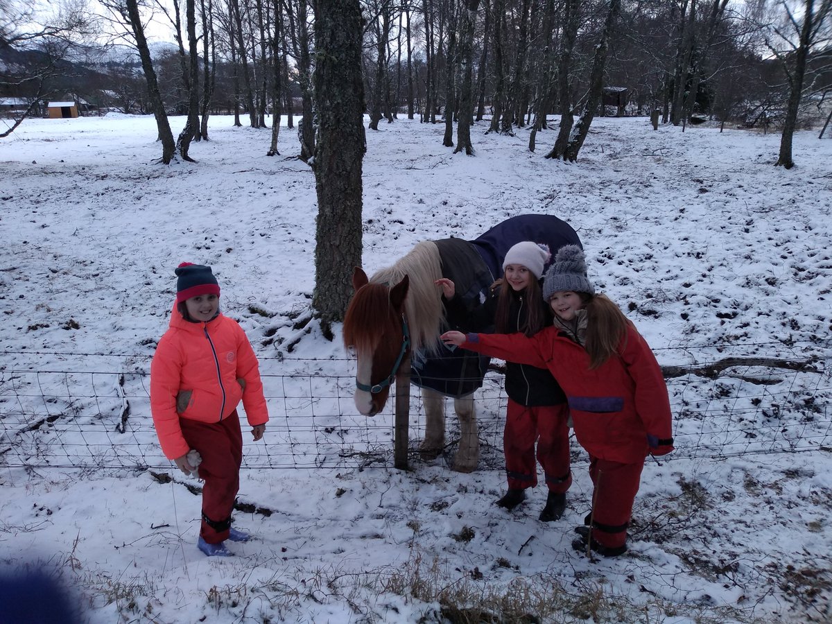 Miss Anderson tweet media