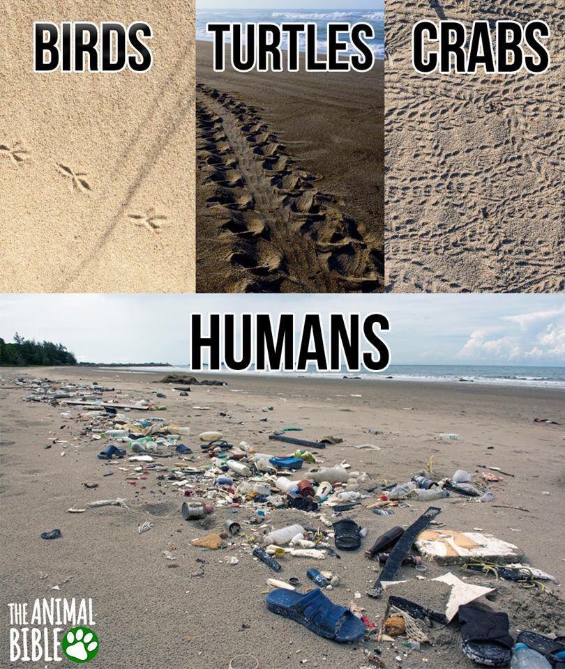 stuffpkg's tweet image. We can do better. You do not need to ship with air pillows! #ThursdayThoughts #funpak #plasticfree #packaging #veteran  #sustainable #safe #plasticfree #brand