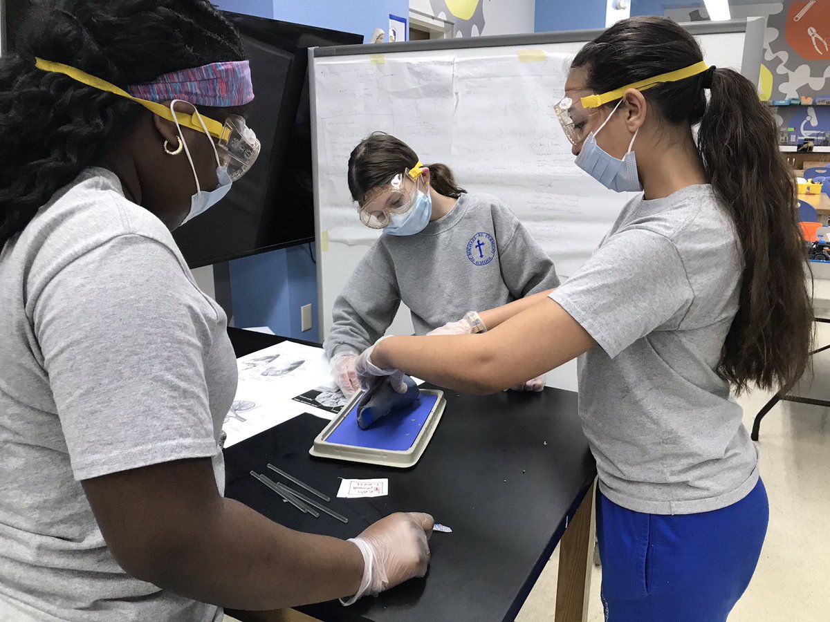stmstcschool's tweet photo. Class dissection of cow, pig and sheep hearts. https://t.co/tFC9uiy6cM
