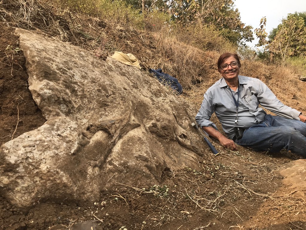 Wow. Good day. All looked lost til the last hour of the day and <a href="/DinoMohabey/">Dhananjay Mohabey</a> pulled another rabbit out of his hat. Perhaps the last sauropod dinosaur to walk in India and beyond. Now to figure out how to excavate it!