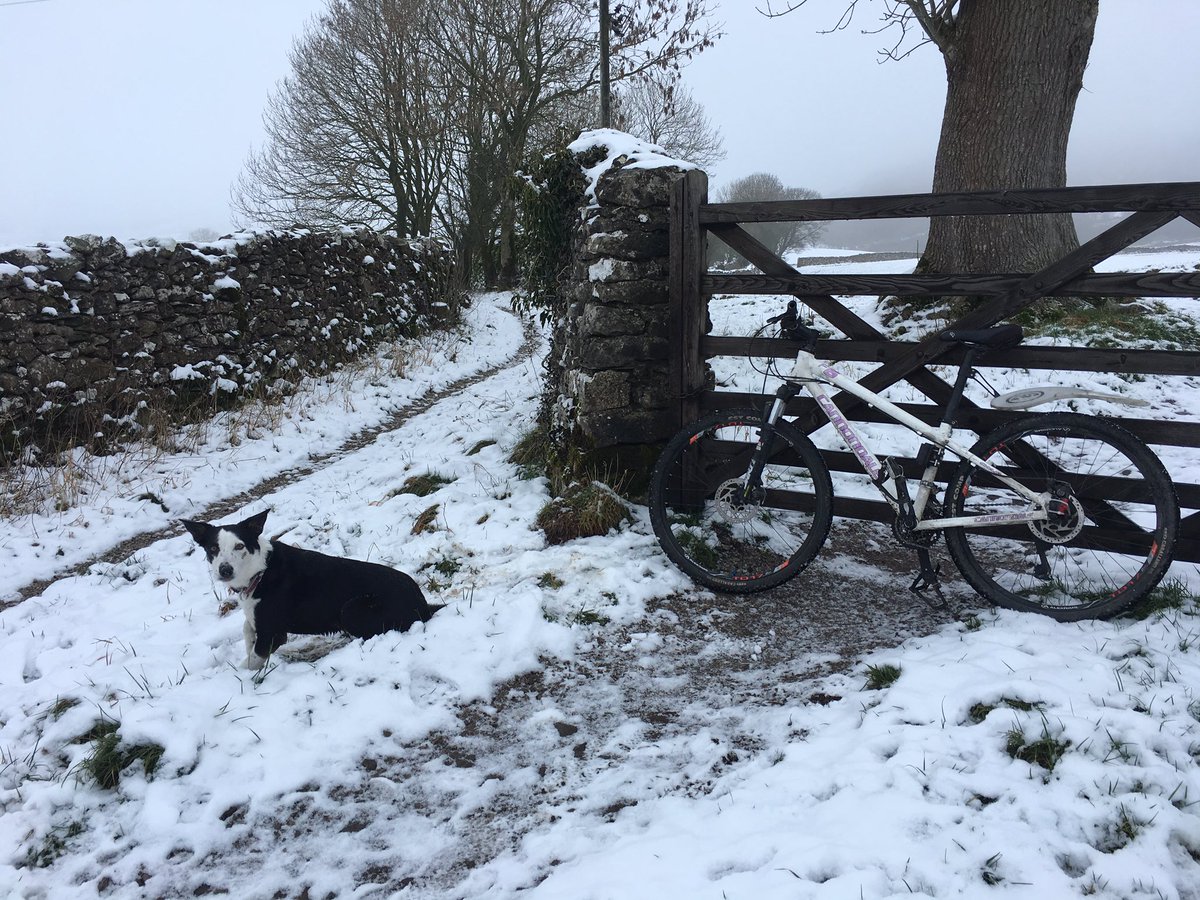 Last outing in the snow before it melts 😭