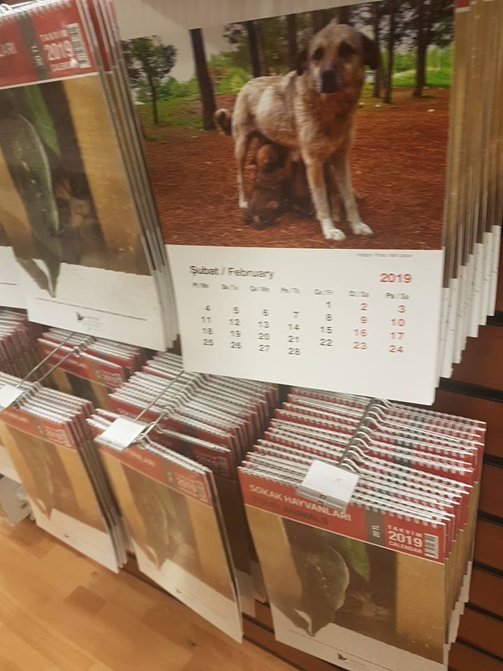 Bugüne kadar yaklaşık 400binlira sahipsiz hayvanlara proje yardımı yapmışız. Sİz hala cicili bicili süslü kedi köpek fotolu takvimleri alarak sahipsiz hayvanlara destek olduğunuzu mu sanıyrosunuz ? 

Yani Siz hala Haytap takvimi almadınız mı ?

#haytap
#haytapshop
#takvim