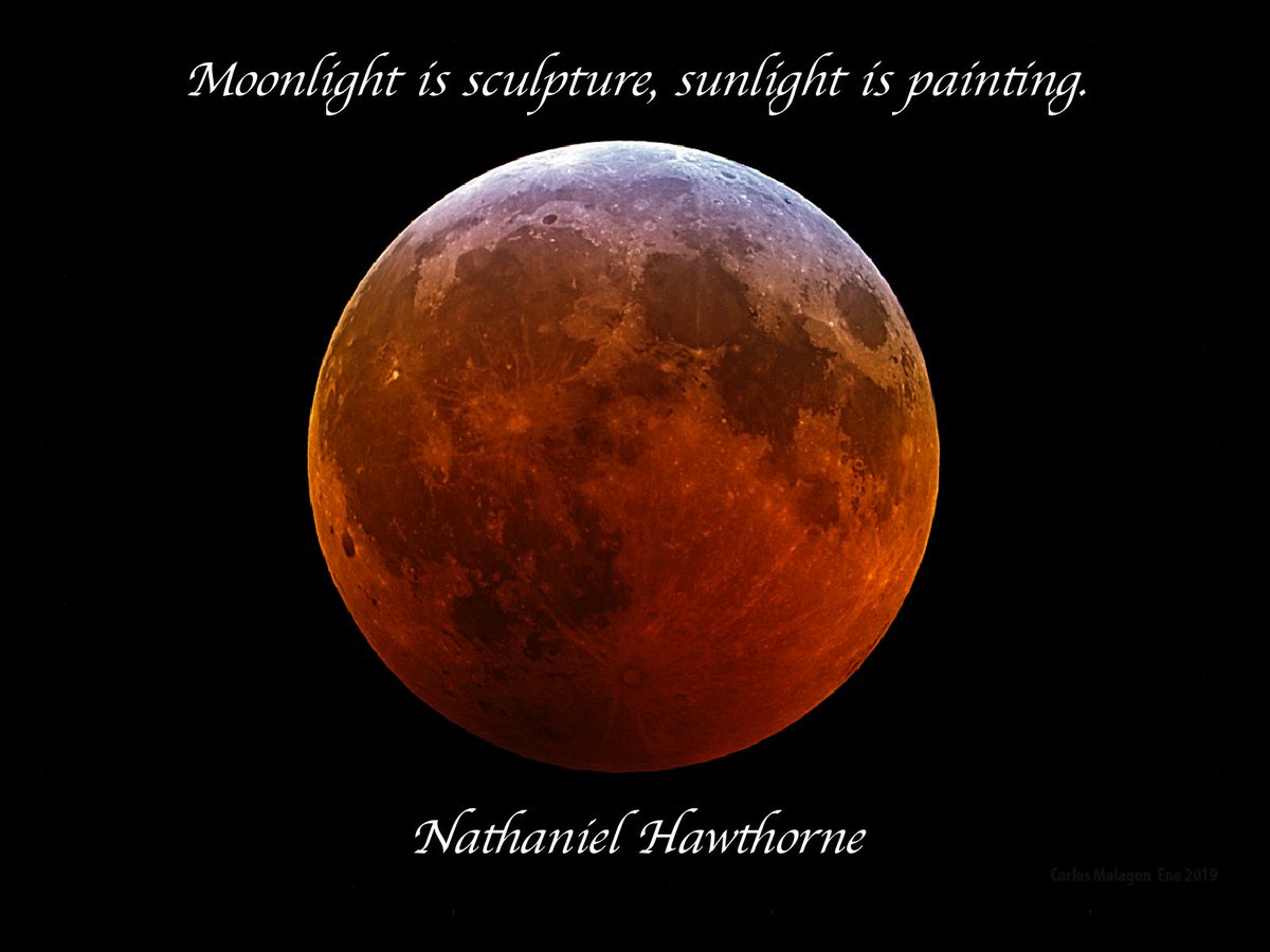 Our #QuoteOfTheMonth!
#LunarEclipse #Moon

Credit: C. Malagon, #Astroshop
#Omegon #APO https://www.astroshop.en/p,55229