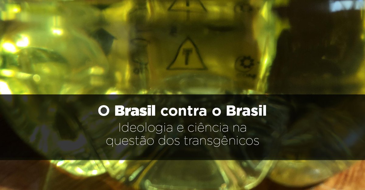 iqciencia's tweet photo. Por que o feijão transgênico criado no Brasil nunca chegou ao campo? Nenhuma razão científica, explicam os pesquisadores Maria Thereza Macedo Pedroso, da Embrapa Hortaliças, e Walter Colli, da Universidade de São Paulo.

👉Link: https://t.co/nUWugSmDN0👈 https://t.co/U0Gze4zrqG