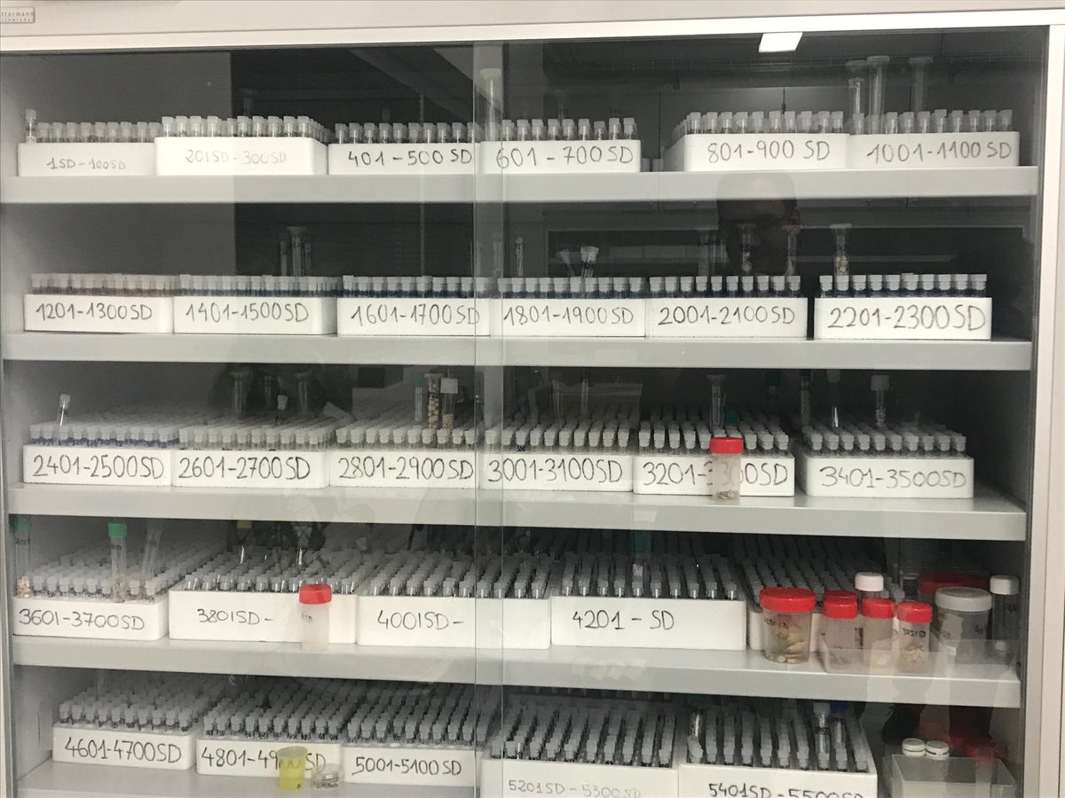 RosendoGarganta's tweet photo. A 14,000 stones bank in @UIBuniversitat, Balearic Islands, Spain. An outstanding asset for the study and analysis of Kidney Stones Disease and potential medical treatments. @Devicare @LitControl #LELR19 https://t.co/xhmQi2dx5V