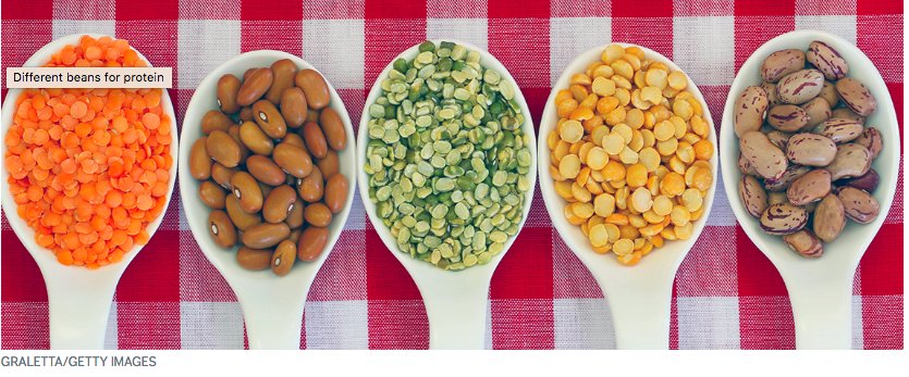 nxtstop1's tweet image. More –––Tips on #OptimizingPerformance in the #GameOfLife.
#MSKover50, #AgingRehab
#Nutrition
How Much Protein Do U Need After 50?
aarp.org/health/healthy…
Eating 🔼#protein may help #olderpeople prevent muscle loss #fish #meat #yogurt #nuts. Also see choices for #vegetarians.