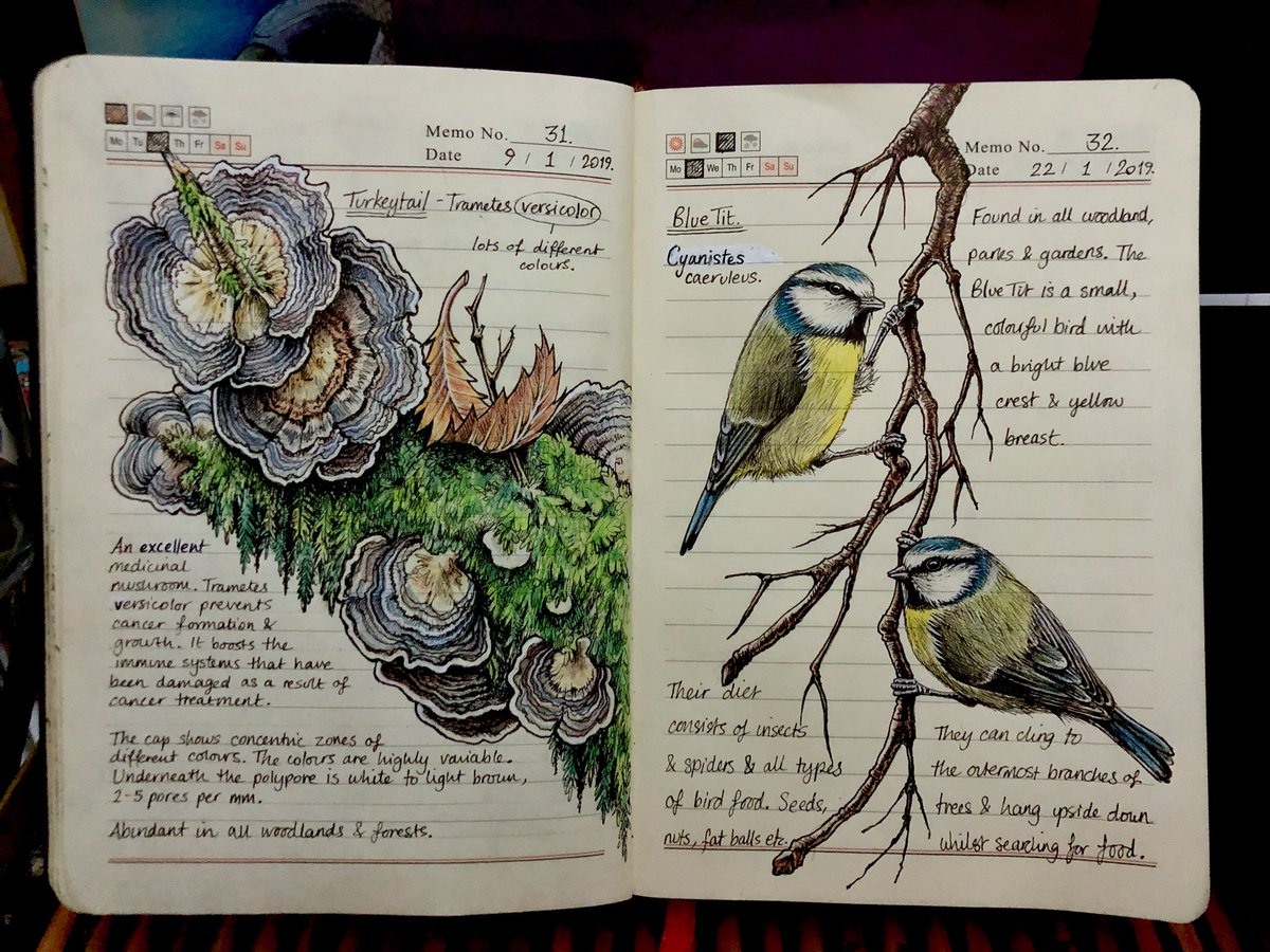 bernoid's tweet photo. #naturejournal https://t.co/mM2RMuADOn