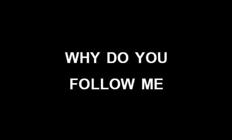 This page as a whole not just me haha. 
                               -Hoodie