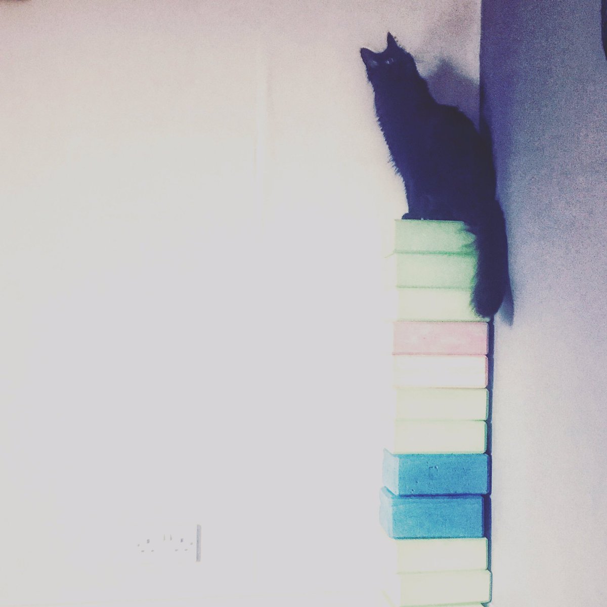 YogaDundee's tweet image. Grandiosity Bikram style #yoga #yogaprops #practicepartner #dundee #broughtyferry #podium #grandioseideas