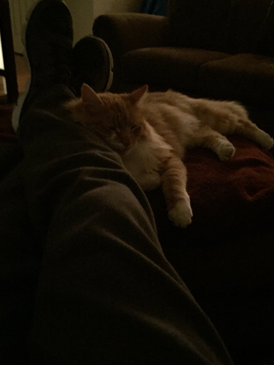 77diggerdad's tweet photo. This morning’s pre-production meeting w/ the intern. #InternKitty #nextitem https://t.co/EWK18PjmvX
