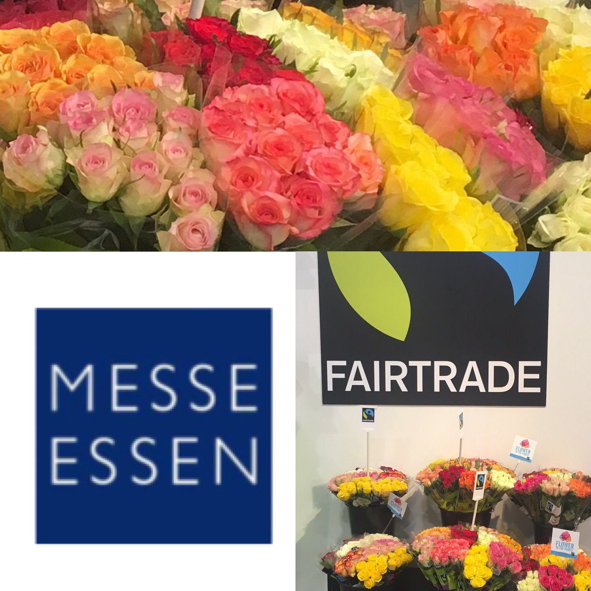 Nice to meet you <a href="/Essen_Ruhr/">Stadt Essen</a>