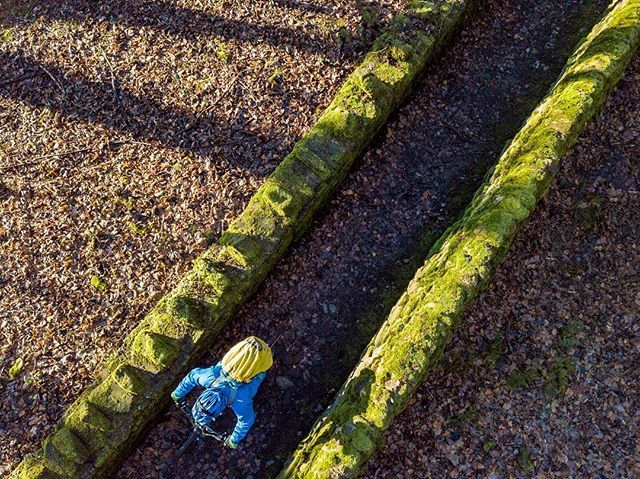 Joolzephoto's tweet photo. Green lane. #mountainbiking #outside #green #narrow #shotfromabove #dronepilot #dji #djimavicpro #womenwhodrone #womenwhofly #responsibledroning #dodgingtrees #patterns #landscape #dronephotography #ariellandscapes #lookingdown #diagonal #trailguide https://t.co/lgUbPWz712 https://t.co/BcxJmHwXna