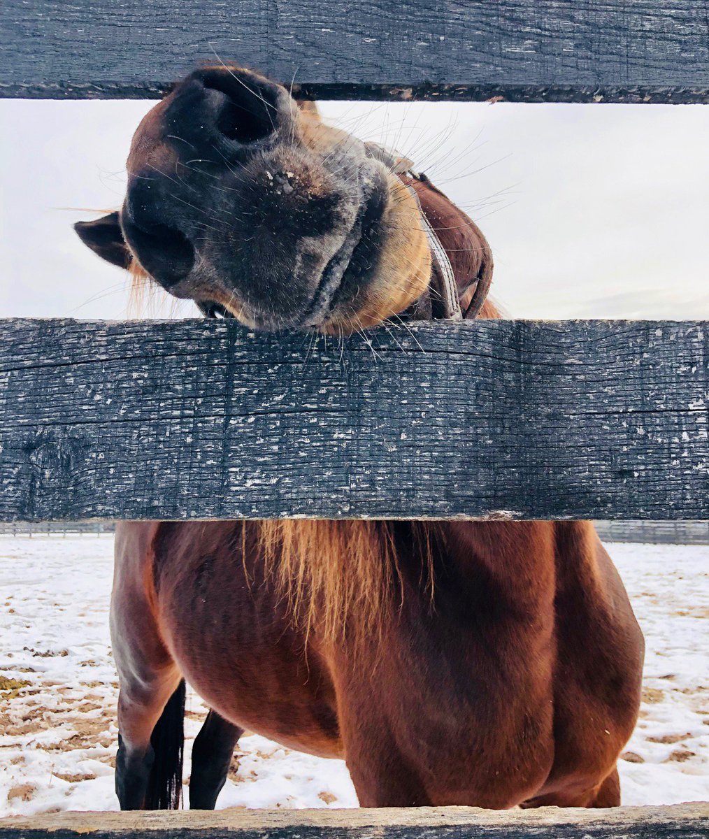 paddywagon11's tweet image. "You talkin' to me?"

#FatherPatrick #BePartOfTheLegend
