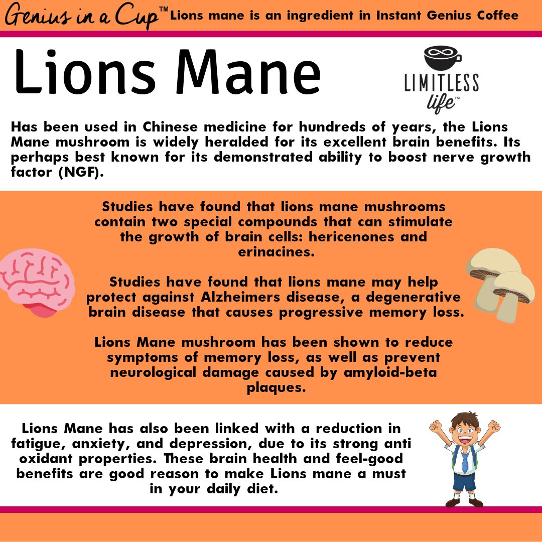 WeAreHaloHB's tweet image. LIONS MANE - An active ingredient in our Instant Genius Coffee™ and Instant Genius Matcha Tea™

#lionsmanemushroom #brainhealth #increasedfocus #coffeefocus #brainboost #wellbeing #arabicacoffee #matchatea #teatox #drinklimitless #alldayenergy #comingtoamerica #healthandfitness