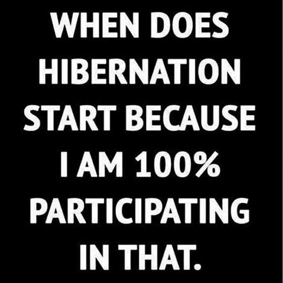 SGPlumbing08's tweet photo. Anyone else so over the cold and wet weather??
#SeagravesPlumbing #hibernation #winter #winterblues #ATL #atlanta #atlantaplumber #isitspringyet #cold #rain https://t.co/nT28rhdbsN
