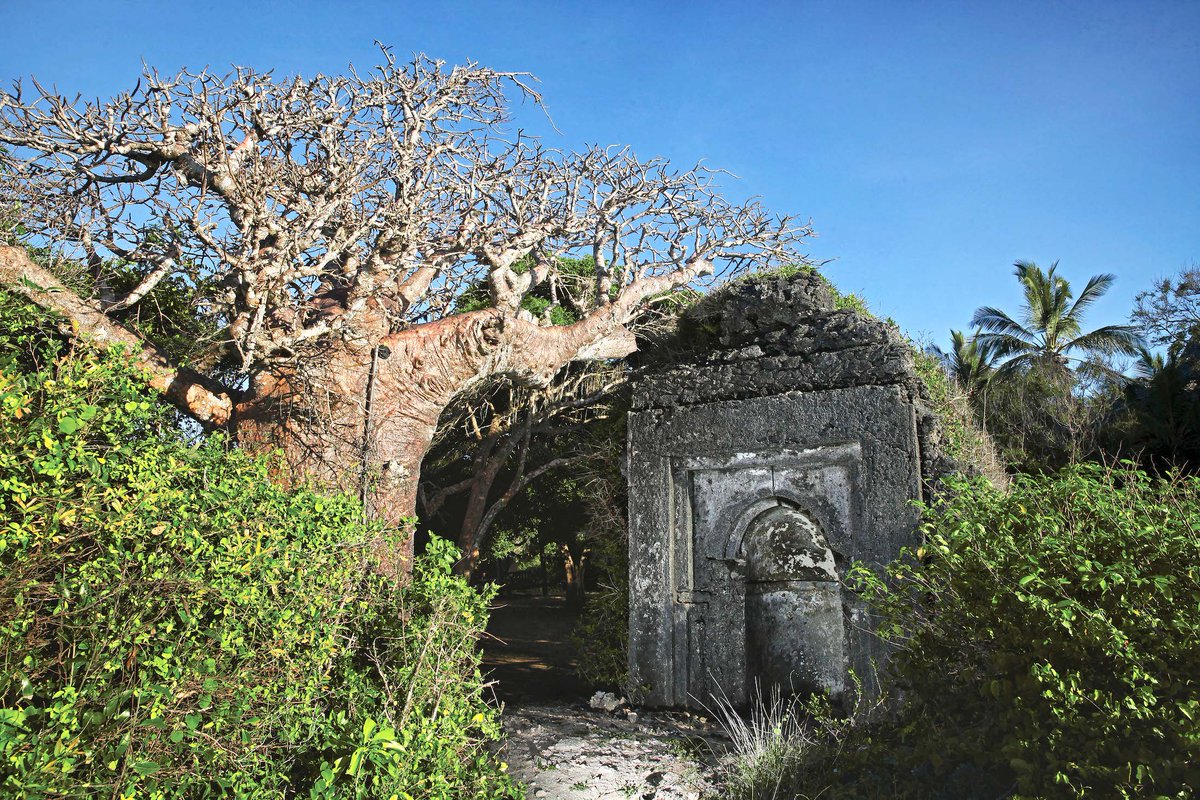 Temple_Point's tweet image. See the #BigFive of the African savanna &amp;amp; the #IndianOcean in just one holiday! Visit us at the @NYTTravelShow this weekend and get your BEST DEAL at booth 555 or visit us online templepointresort.com #DiscoverTheSpirit #TemplePointResort #Africa #Kenya #Watamu