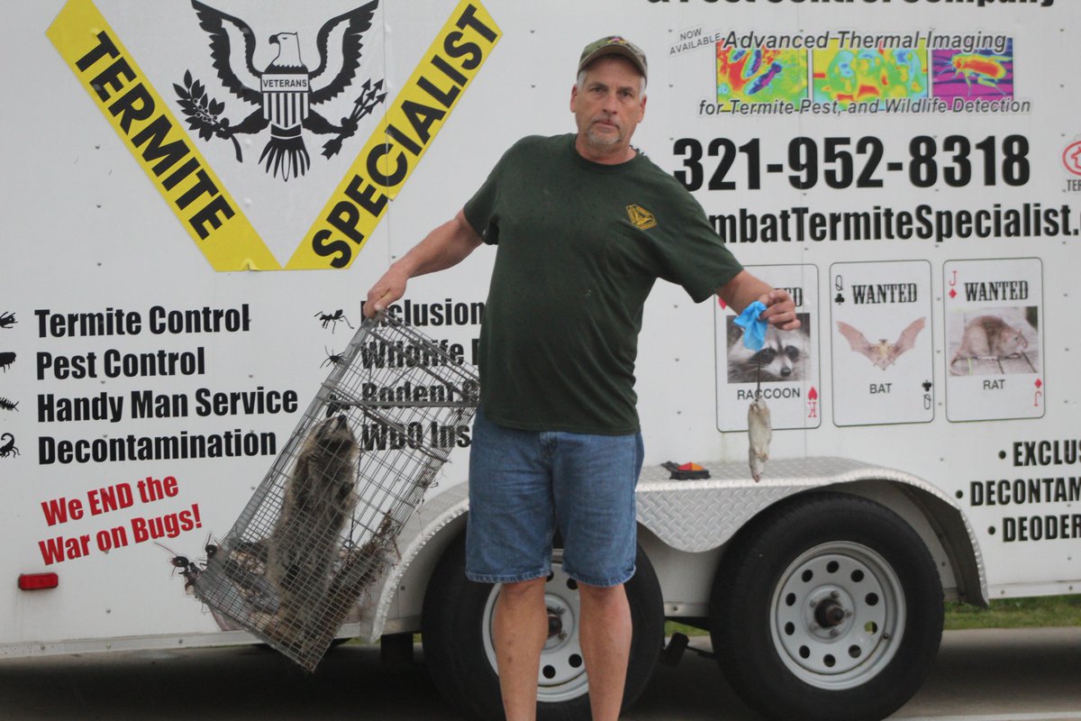 combattermite's tweet image. Cold, wind and rain bring in ll types of wildlife which can create rodent issues.  Don't delay - call today!   Free inspections/estimates 321-952-8318.