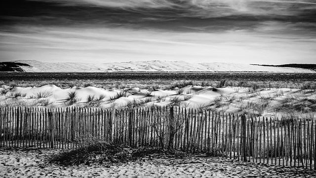 Le bassin en noir et blanc

Vue sur la dune du pilat depuis la pointe du Cap Ferret

#bassindarcachon #capferret #pointeducapferret #dunedupyla #dune #bassin #plage #sudouest_focus_on #beautifuldestination #bnw_of_our_world #bnwphotography #bnw_fr #black… bit.ly/2FPofhZ