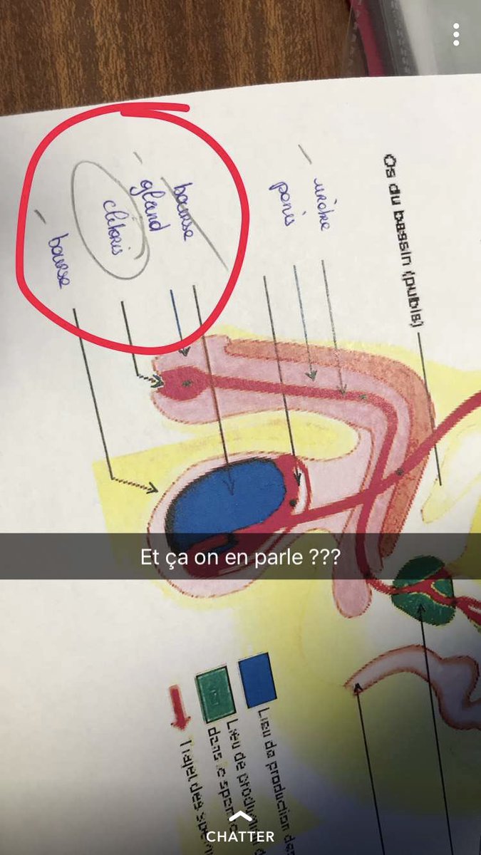 doimo_madison's tweet photo. Les soignants de demain. #partiels #IFSI #ESI  #WTF #picoftheday  #nurse #prof #anatomy https://t.co/aDSW52NyPP