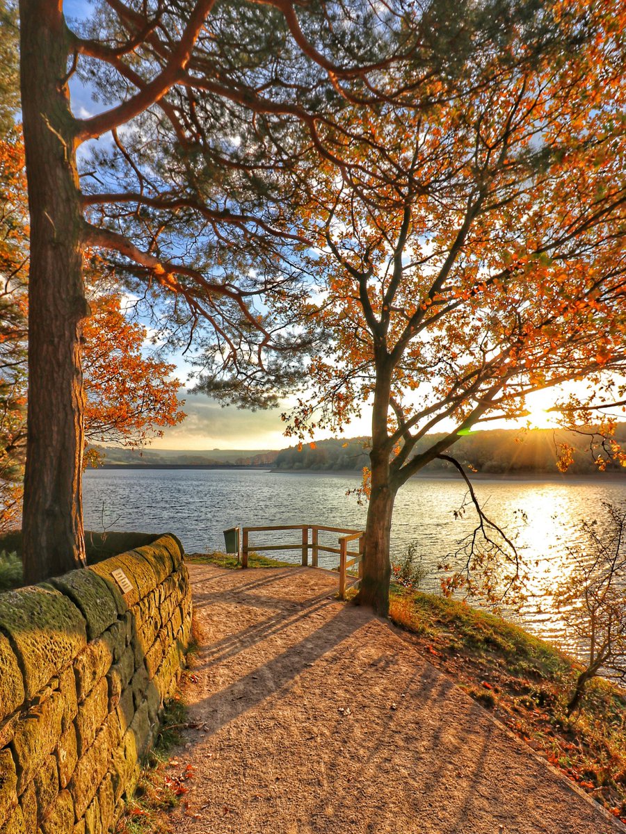 John Wellock tweet media