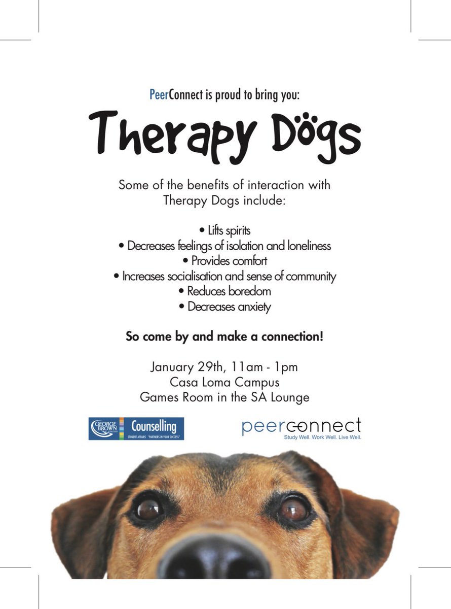 GBC Peerconnect tweet media