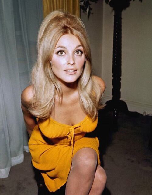 Happy birthday to sharon tate!!

sharon would be 76 today if she lived 
