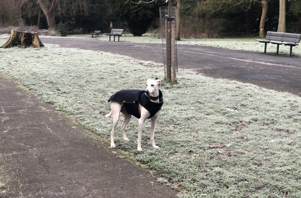 HamiltonChivers's tweet image. For bookings and appearances, speak to my agent @chivers