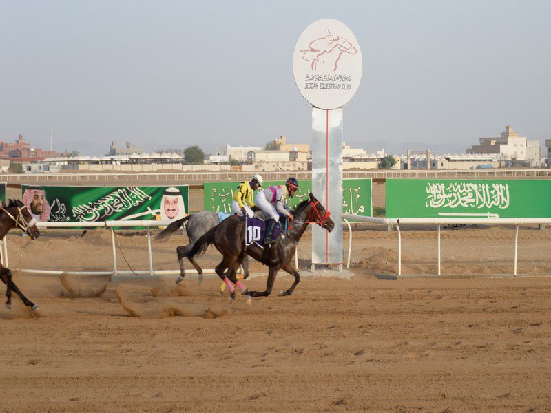 الفائز بالشوط الخامس على كأس وجائزة وزارة الدفاع الجواد " سالينا " لاسطبل المنتهى وبقيادة الخيال احمد الازهري
#جدة #مدينة_جدة #فروسية #فروسية_جدة #ميادين #ميدان #ميدان_الفروسية