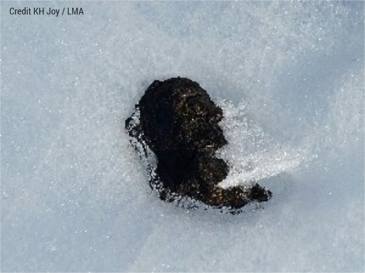 UKAntarcticMets's tweet photo. The most recent find (being embedded in ice makes it a little harder to retrieve) >>> https://t.co/A7DYozXLks