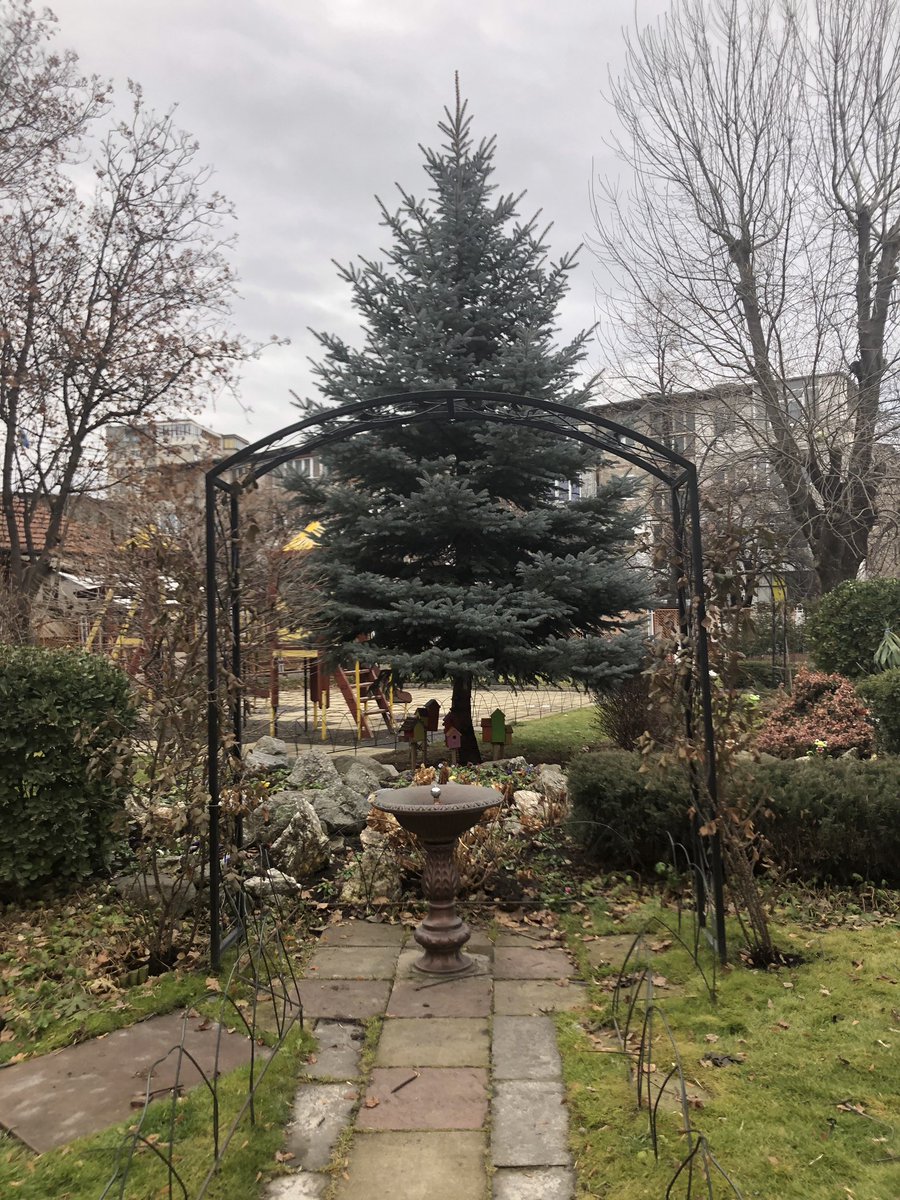 #URBiNAT meeting at Sofia - 23 January 1st day, visiting the neighborhood for the healthy corridors implementation of co-created NBS. #horizon2020