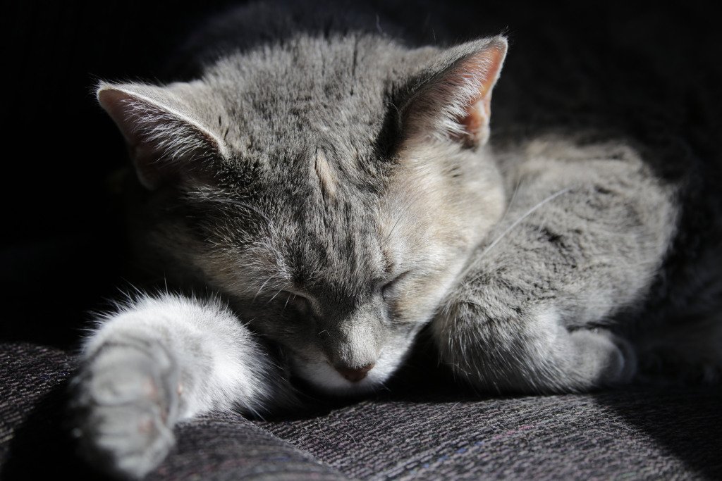 EthanWarwickDC tweet media