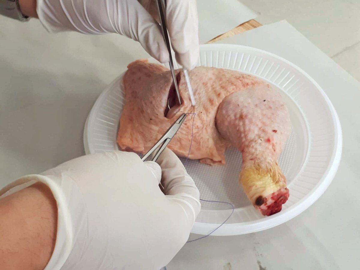 MEDSA_AlJazair's tweet image. Aujourd’hui s’est tenue la deuxième session de notre Atelier de Suture, au niveau de la Faculté de Médecine d’Alger, et assurée par Dr Bouderbal, Résident en Neurochirurgie, que nous remercions de cette formation si enrichissante. #Surgery #SutureWorkshop #Medicine