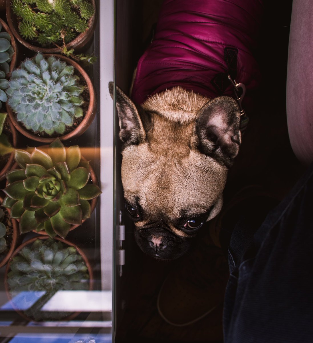 If you’re looking for a place to banish away any #JanuaryBlues then look no further than the Good Day Cafe in the heart of Bath. Even by its name alone, this delightful, dog-friendly cafe is on hand to help you have a great day 👍

thebathonian.com/theblog/2019/1…

#VisitBath #Review