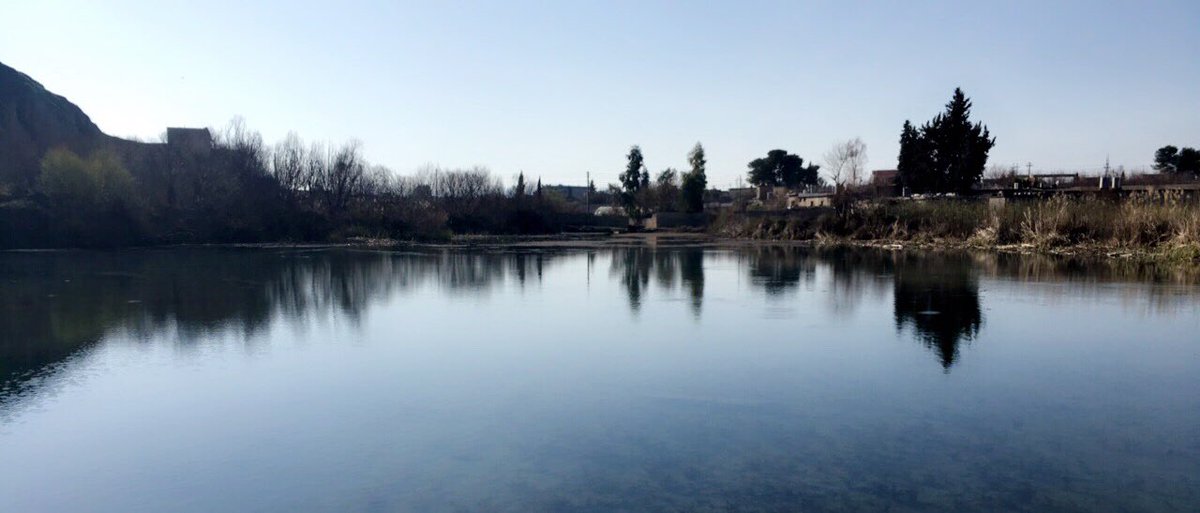 sozila_'s tweet photo. #ShotOniPhone iPhone 6s ...... nature https://t.co/549L6vwGrd