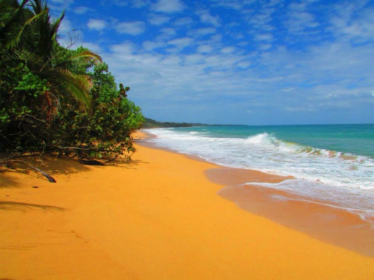 panama_tourism's tweet photo. Bluff Beach, bull's mouths, Bocas del toro, Panama.
By photographer: https://t.co/WTpMmxldgh
#bluffbeach #bullsmounths #bocasdeltoro #panama #pty #tourism #panamatourism #visitpanama #thingstodoinpanama https://t.co/kkKEPewkkl