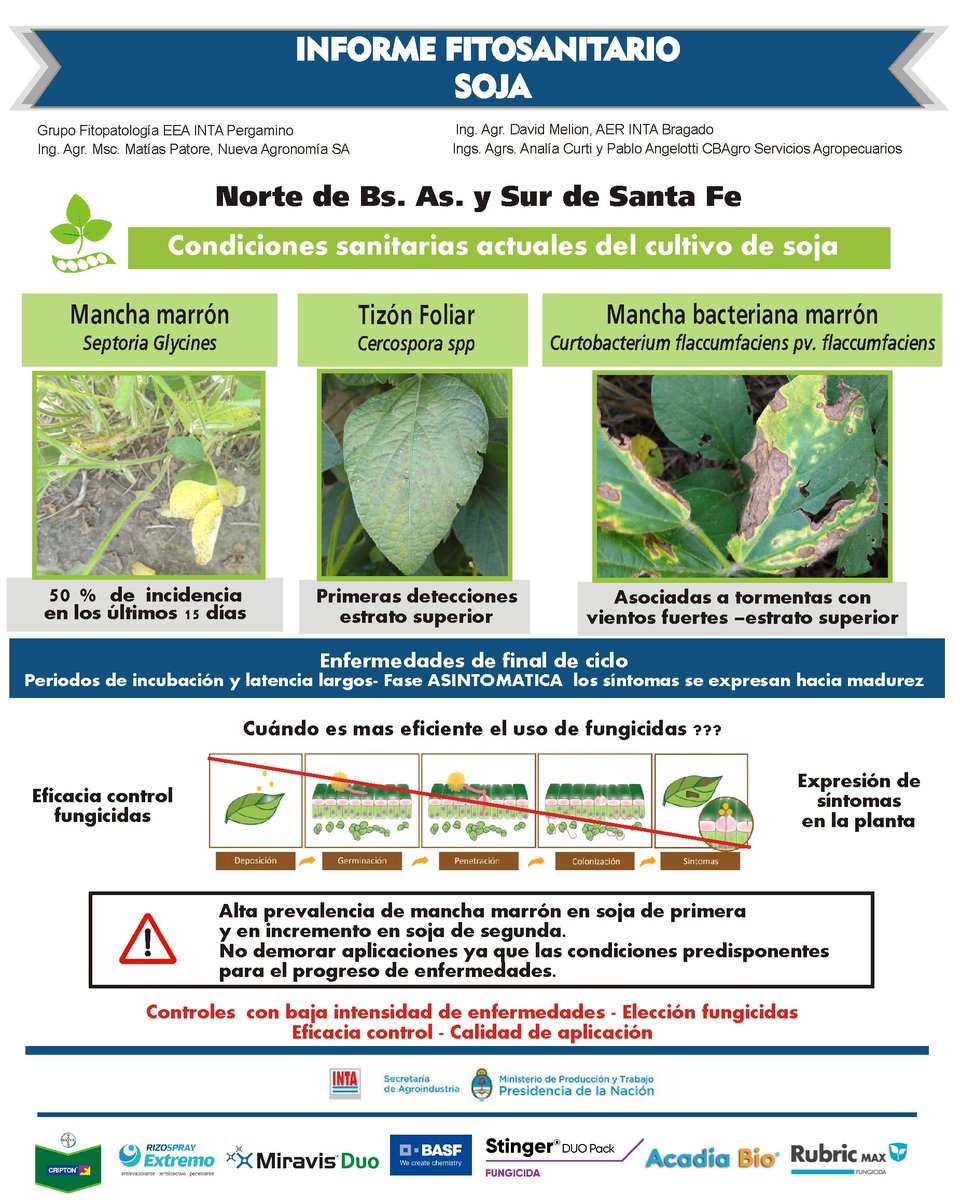 ✅ #Ahora 2° Informe Fitosanitario #Soja 🌱 <a href="/lucrecouretot/">Lucrecia Couretot</a> <a href="/IntaPergamino/">INTA Pergamino</a> <a href="/INTACRBAN/">INTA CRBAN</a> <a href="/nuevagronomia/">Nueva Agronomía SA</a> <a href="/CBAgro_ServAgr/">CBAgro</a> <a href="/MatiasPastore3/">Mati Pastore</a> <a href="/anicurti/">Analía Curti</a> <a href="/PabloAngelotti/">Pablo Angelotti</a> @BayerAgroArg <a href="/RizobacterARG/">Rizobacter</a> <a href="/Syngenta_ar/">Syngenta Argentina</a> <a href="/BASFAgro/">BASF Agricultural Solutions</a> <a href="/AdamaArgentina/">Adama Argentina</a>  <a href="/CortevaARG/">Corteva Argentina</a> @fmcargentina