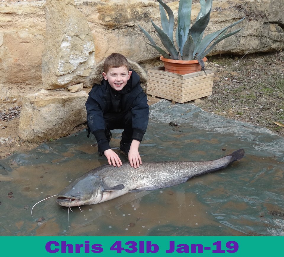 castingonebro's tweet photo. Here are the other fish Dave and Chris Caught, with one pictured with Vinnie #castingontheebro #mightyebro #ribarojadebre #spain #catfish https://t.co/OzBCdACPoL