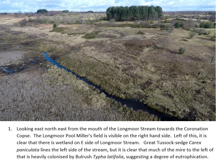 EcoRecording's tweet image. We're currently putting together the new @bbcbotsoc newsletter - it's going to be a corker!  

Here's a sneak preview of one of Andy Purcell's fantastic drone photos of Sutton Park.  

You can read last year's newsletter here: scribd.com/document/37040…