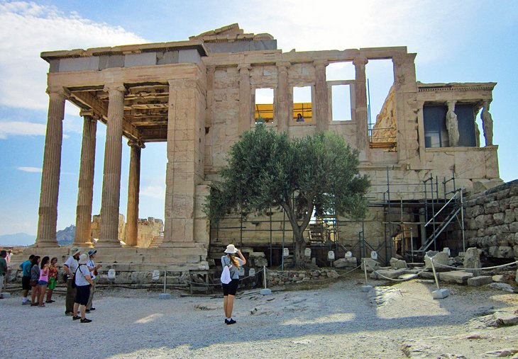 He shares the olive tree as a sacred plant with his favourite daughter  #Athena. Athena planted the first olive tree on the akropolis when she competed with Poseidon for the patronage of the city of Athens. Today, an olive tree stands there in memory of the event #FolkloreThursday