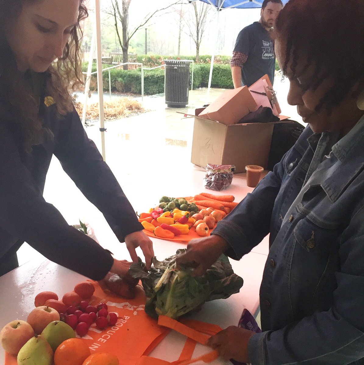 hungry harvest hungry harvest